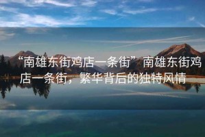 “南雄東街雞店一條街”南雄東街雞店一條街，繁華背后的獨(dú)特風(fēng)情