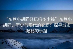 “東營小胡同好玩嗎多少錢”東營小胡同，歷史與現(xiàn)代的交織，探尋城市隱秘的樂趣