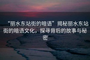 “麗水東站街的暗語”揭秘麗水東站街的暗語文化，探尋背后的故事與秘密
