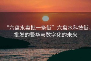 “六盤水賣批一條街”六盤水科技街，批發(fā)的繁華與數(shù)字化的未來