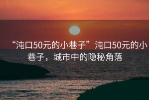 “沌口50元的小巷子”沌口50元的小巷子，城市中的隱秘角落