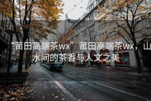 “莆田高端茶wx”莆田高端茶wx，山水間的茶香與人文之美