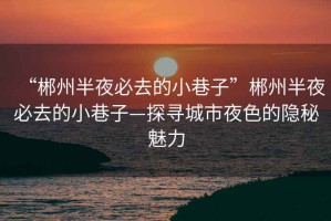 “郴州半夜必去的小巷子”郴州半夜必去的小巷子—探尋城市夜色的隱秘魅力