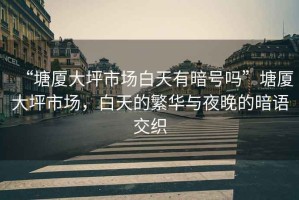 “塘廈大坪市場白天有暗號嗎”塘廈大坪市場，白天的繁華與夜晚的暗語交織