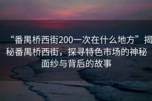 “番禺橋西街200一次在什么地方”揭秘番禺橋西街，探尋特色市場的神秘面紗與背后的故事