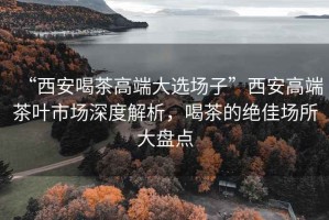 “西安喝茶高端大選場子”西安高端茶葉市場深度解析，喝茶的絕佳場所大盤點