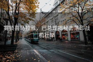 霧鎖喜馬拉雅，巴總理揭秘?fù)袈溆?zhàn)機壯舉