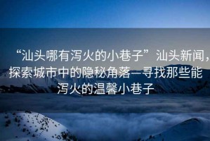“汕頭哪有瀉火的小巷子”汕頭新聞，探索城市中的隱秘角落—尋找那些能瀉火的溫馨小巷子