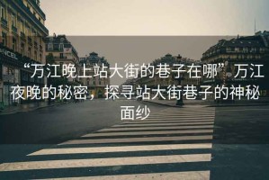 “萬江晚上站大街的巷子在哪”萬江夜晚的秘密，探尋站大街巷子的神秘面紗