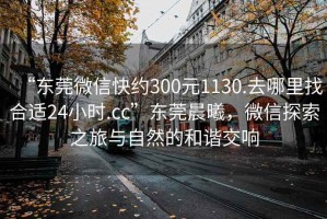 “東莞微信快約300元1130.去哪里找合適24小時(shí).cc”東莞晨曦，微信探索之旅與自然的和諧交響