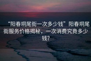 “陽春垌尾街一次多少錢”陽春垌尾街服務(wù)價格揭秘，一次消費(fèi)究竟多少錢？