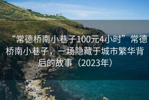 “常德橋南小巷子100元4小時(shí)”常德橋南小巷子，一場隱藏于城市繁華背后的故事（2023年）
