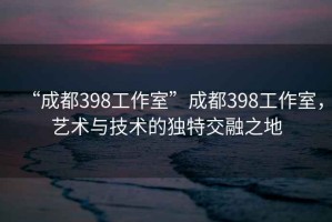 “成都398工作室”成都398工作室，藝術(shù)與技術(shù)的獨特交融之地
