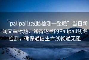“palipali1線路檢測(cè)一整晚”當(dāng)日新聞文章標(biāo)題，通宵達(dá)旦的Palipali線路檢測(cè)，確保通信生命線暢通無阻