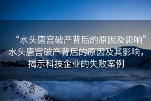 “水頭唐宮破產(chǎn)背后的原因及影響”水頭唐宮破產(chǎn)背后的原因及其影響，揭示科技企業(yè)的失敗案例