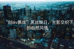 “88av黑絲”黑絲映日，光影交織下的自然風(fēng)情