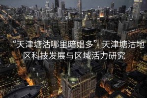 “天津塘沽哪里暗娼多”天津塘沽地區(qū)科技發(fā)展與區(qū)域活力研究