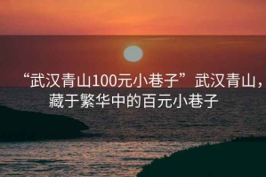 “武漢青山100元小巷子”武漢青山，藏于繁華中的百元小巷子