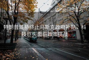 特朗普威脅終止馬斯克政府補貼，科技巨頭面臨政策挑戰(zhàn)
