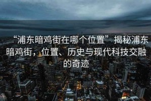 “浦東暗雞街在哪個(gè)位置”揭秘浦東暗雞街，位置、歷史與現(xiàn)代科技交融的奇跡