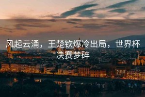 風(fēng)起云涌，王楚欽爆冷出局，世界杯決賽夢碎