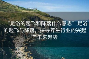 “足浴的起飛和降落什么意思”足浴的起飛與降落，探尋養(yǎng)生行業(yè)的興起與未來趨勢