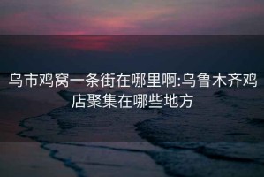 烏市雞窩一條街在哪里啊:烏魯木齊雞店聚集在哪些地方