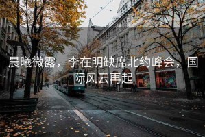 晨曦微露，李在明缺席北約峰會，國際風云再起