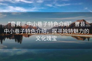 “曹縣三中小巷子特色介紹”曹縣三中小巷子特色介紹，探尋獨(dú)特魅力的文化瑰寶