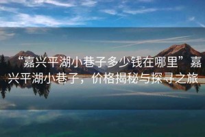 “嘉興平湖小巷子多少錢(qián)在哪里”嘉興平湖小巷子，價(jià)格揭秘與探尋之旅