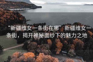 “新疆維女一條街在哪”新疆維女一條街，揭開(kāi)神秘面紗下的魅力之地
