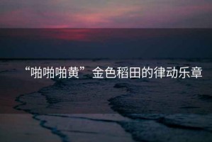 “啪啪啪黃”金色稻田的律動樂章