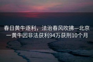 春日黃牛逐利，法治春風(fēng)吹拂—北京一黃牛因非法獲利94萬獲刑10個(gè)月