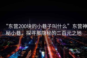 “東營(yíng)200塊的小巷子叫什么”東營(yíng)神秘小巷，探尋那隱秘的二百元之地