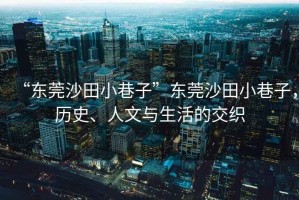 “東莞沙田小巷子”東莞沙田小巷子，歷史、人文與生活的交織