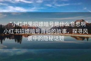 “小紅書(shū)里招嫖暗號(hào)是什么意思啊”小紅書(shū)招嫖暗號(hào)背后的故事，探尋風(fēng)景中的隱秘話題
