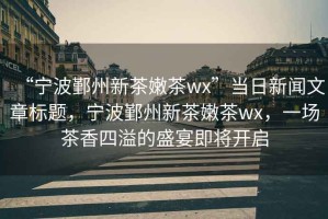 “寧波鄞州新茶嫩茶wx”當(dāng)日新聞文章標(biāo)題，寧波鄞州新茶嫩茶wx，一場(chǎng)茶香四溢的盛宴即將開(kāi)啟
