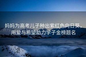 媽媽為高考兒子種出紫紅色向日葵，用愛與希望助力學(xué)子金榜題名