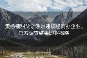 黃楊鈿甜父親涉嫌違規(guī)經(jīng)商辦企業(yè)，官方調(diào)查結(jié)果即將揭曉