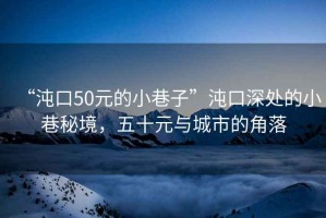 “沌口50元的小巷子”沌口深處的小巷秘境，五十元與城市的角落