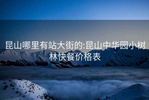 昆山哪里有站大街的:昆山中華園小樹林快餐價(jià)格表
