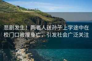 悲劇發(fā)生！兩老人送孫子上學(xué)途中在校門口被撞身亡，引發(fā)社會廣泛關(guān)注