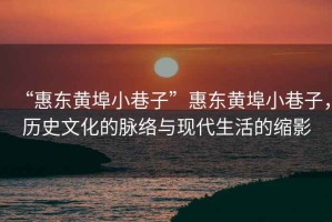 “惠東黃埠小巷子”惠東黃埠小巷子，歷史文化的脈絡(luò)與現(xiàn)代生活的縮影