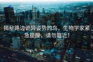 揭秘路邊詭異姿勢的鳥，生物學家緊急提醒，請勿靠近！