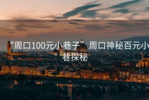 “周口100元小巷子”周口神秘百元小巷探秘