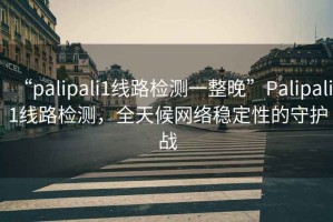 “palipali1線路檢測(cè)一整晚”Palipali1線路檢測(cè)，全天候網(wǎng)絡(luò)穩(wěn)定性的守護(hù)戰(zhàn)