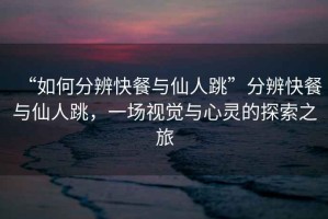 “如何分辨快餐與仙人跳”分辨快餐與仙人跳，一場視覺與心靈的探索之旅