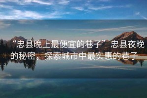 “忠縣晚上最便宜的巷子”忠縣夜晚的秘密，探索城市中最實(shí)惠的巷子