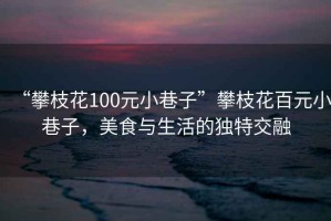 “攀枝花100元小巷子”攀枝花百元小巷子，美食與生活的獨特交融