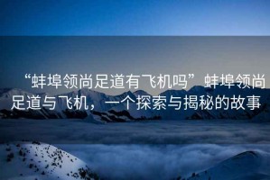 “蚌埠領(lǐng)尚足道有飛機嗎”蚌埠領(lǐng)尚足道與飛機，一個探索與揭秘的故事